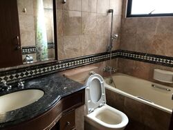 Dover Parkview (D5), Condominium #484841181